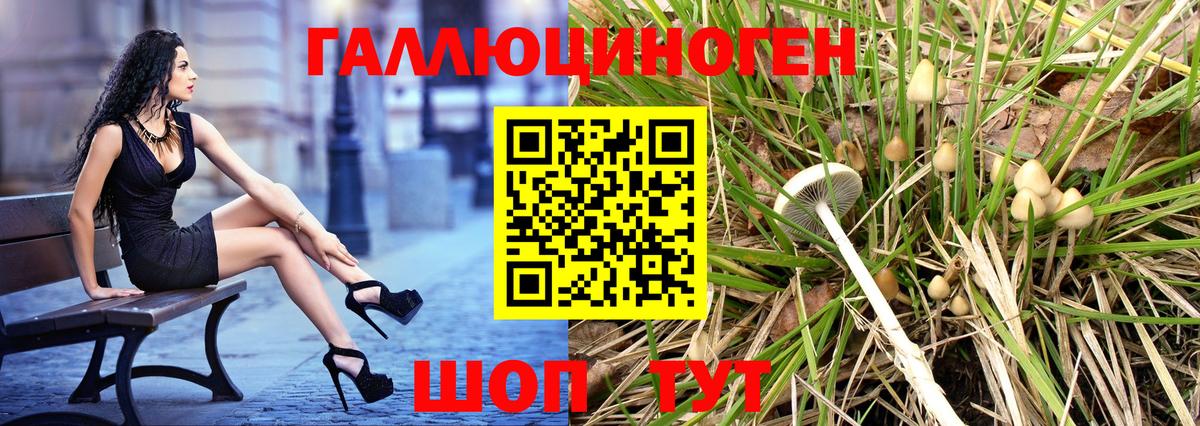 Галлюциногенные грибы MAGIC MUSHROOMS Кохма