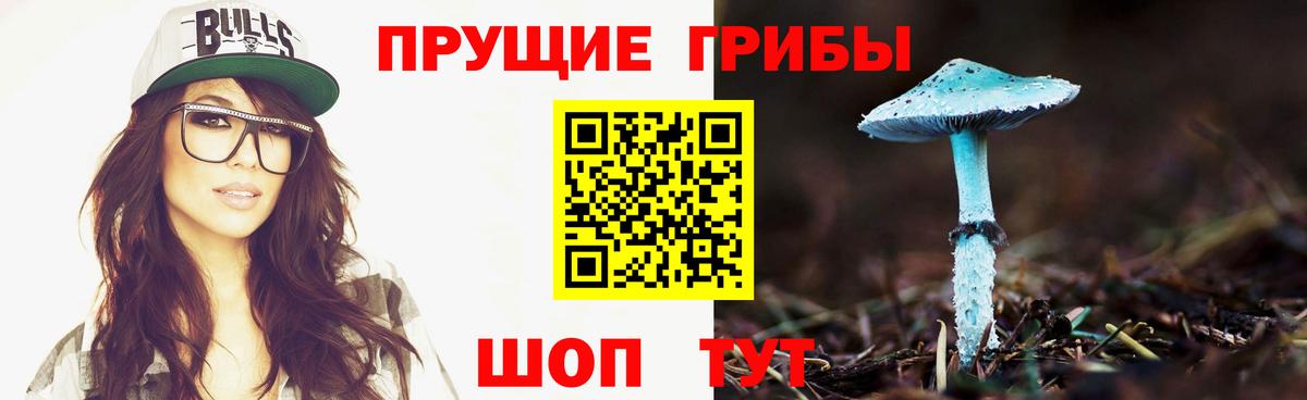 Галлюциногенные грибы прущие грибы  Псилоцибиновые грибы MAGIC MUSHROOMS  Вход с VPN  Кохма 